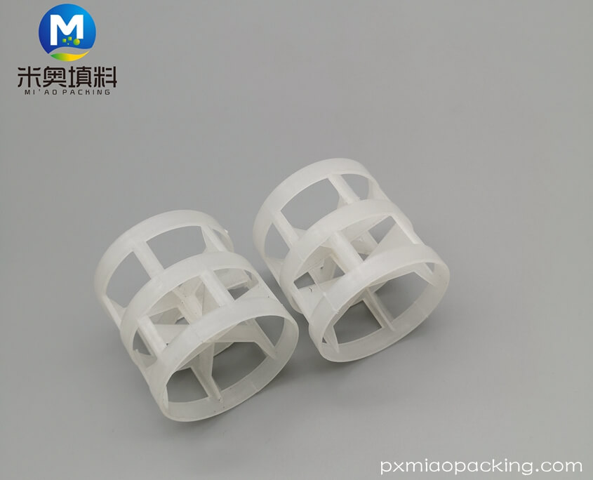 Plastic-Pall-Ring-3