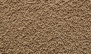 Whats-Molecular-Sieve-Used-For-300x180